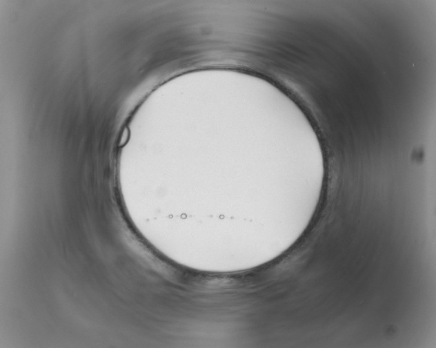 X0000112151467200909181411