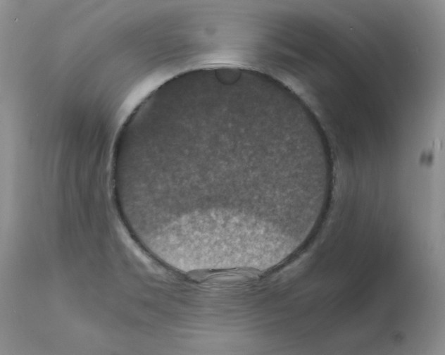 X0000112151469200909181411