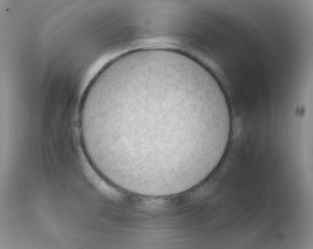 X0000112151470200909181411