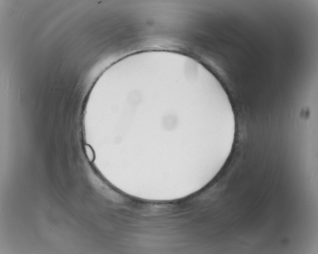 X0000112151471200909181411