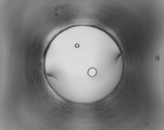 X0000112151472200909181411