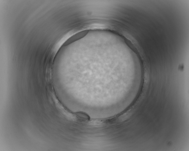 X0000112151473200909181411