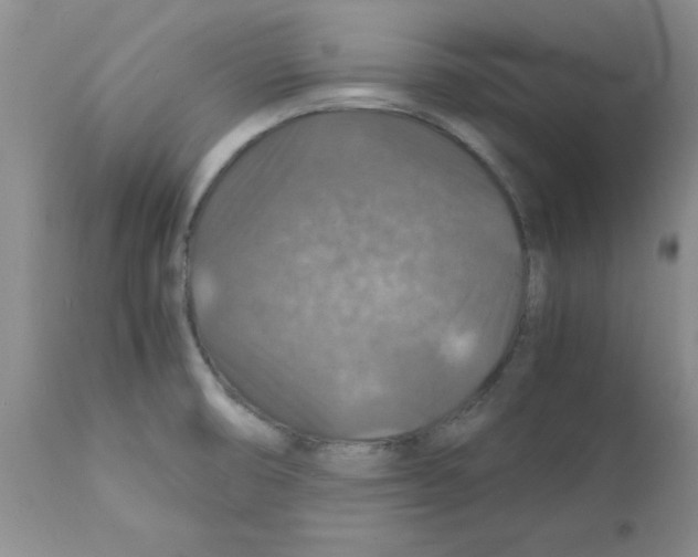 X0000112151474200909181411