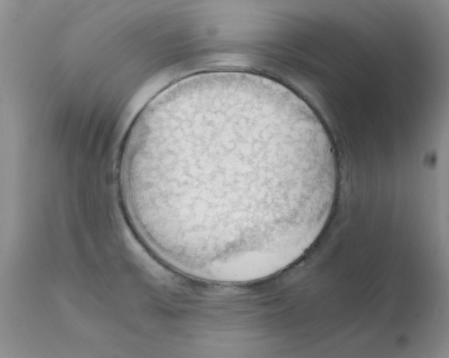 X0000112151475200909181411