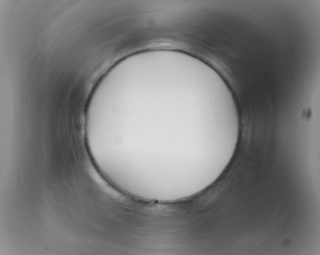 X0000112151476200909181411