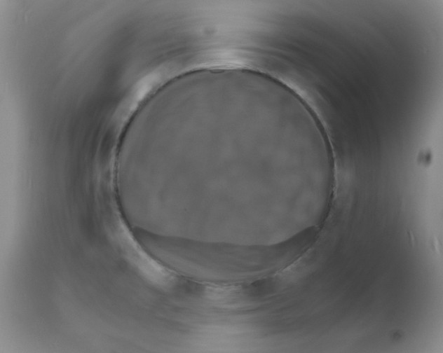 X0000112151477200909181411