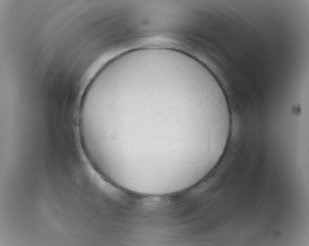 X0000112151478200909181411