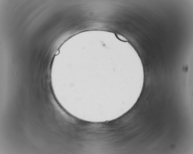 X0000112151479200909181411