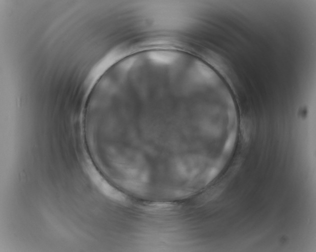 X0000112151482200909181411