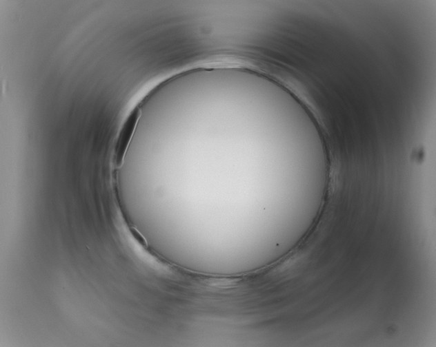 X0000112151484200909181411