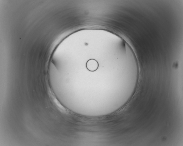 X0000112151485200909181411