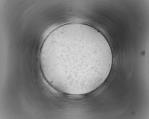 X0000112151487200909181410