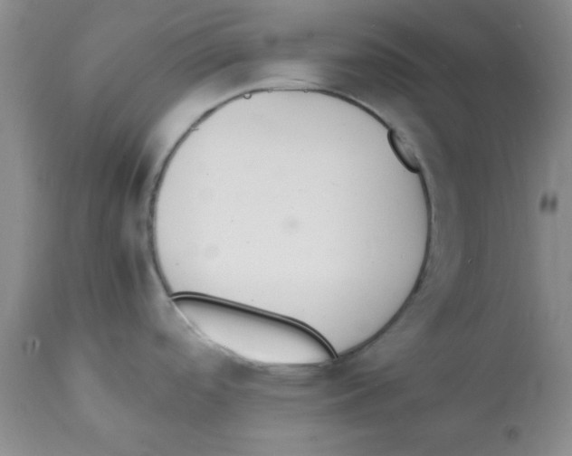 X0000112151488200909181410