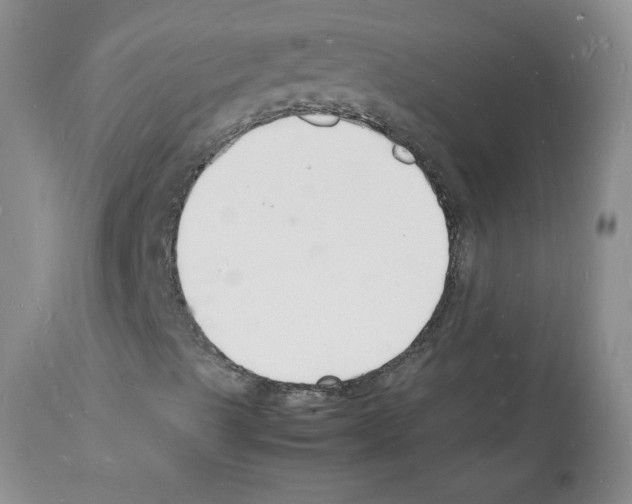 X0000112151489200909181410