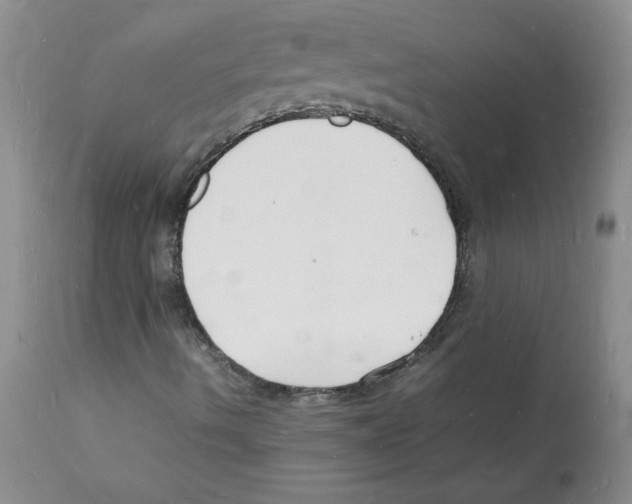 X0000112151490200909181410