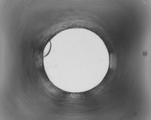 X0000112151491200909181410