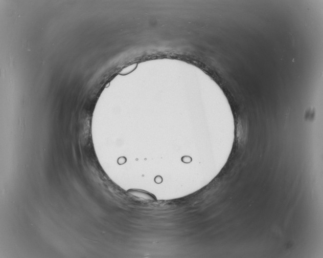 X0000112151492200909181410