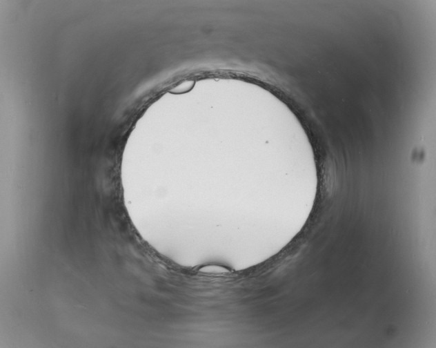 X0000112151494200909181410