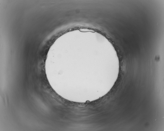 X0000112151495200909181410