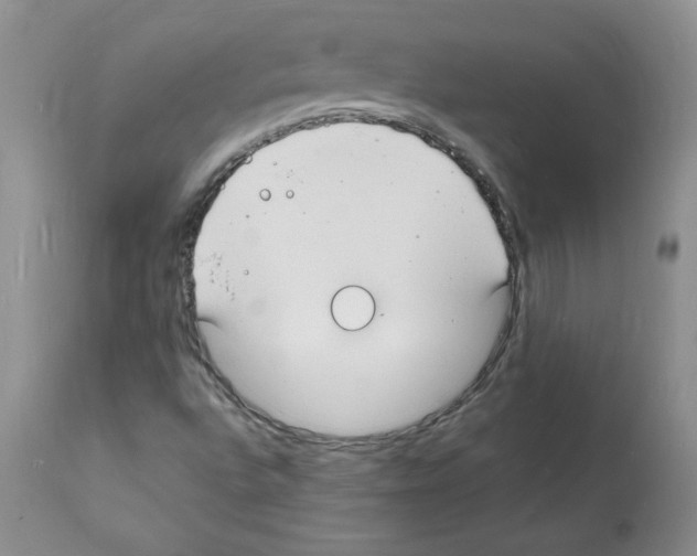 X0000112151496200909181410