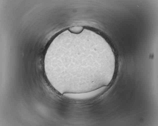 X0000112151497200909181410