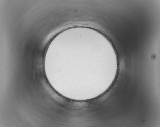 X0000112151498200909181410