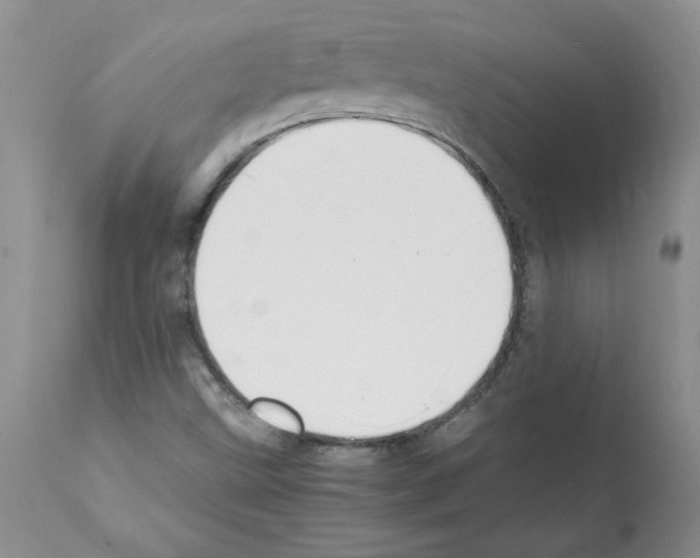 X0000112151499200909181410