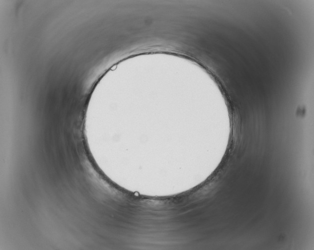 X0000112151500200909181410