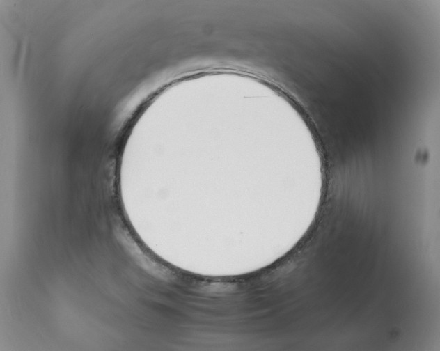 X0000112151503200909181410