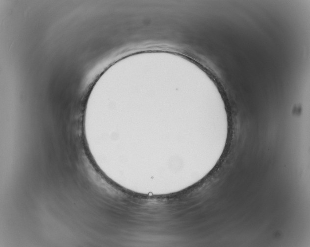 X0000112151504200909181410