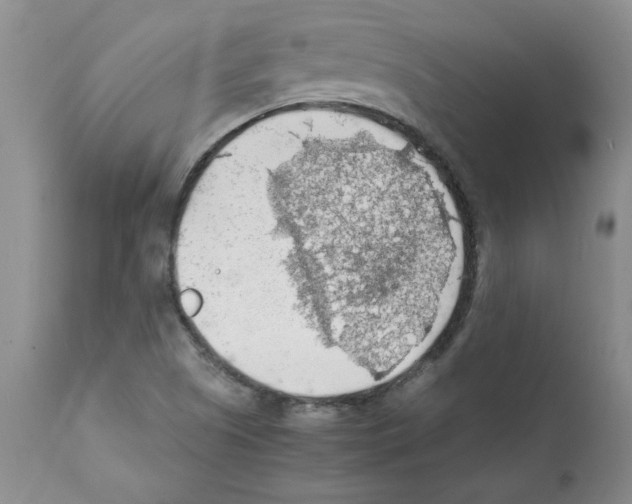 X0000112151505200909181410