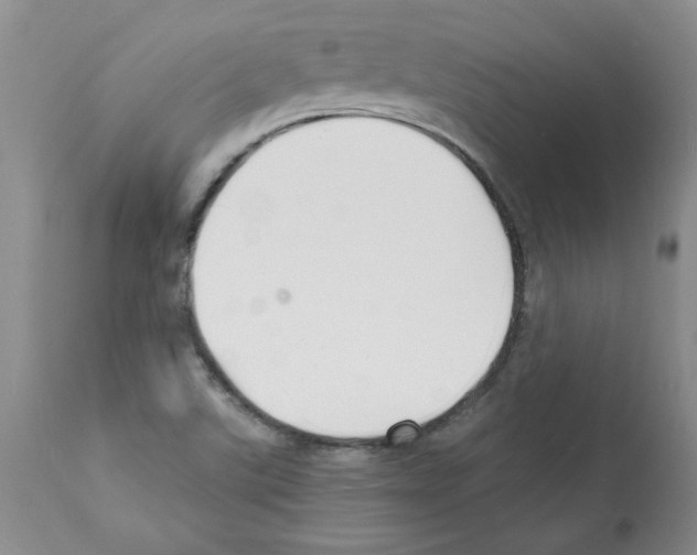 X0000112151507200909181410