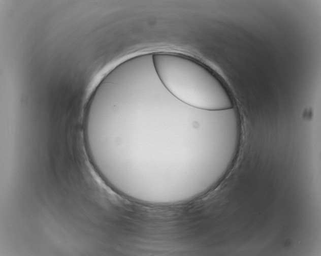 X0000112151508200909181410