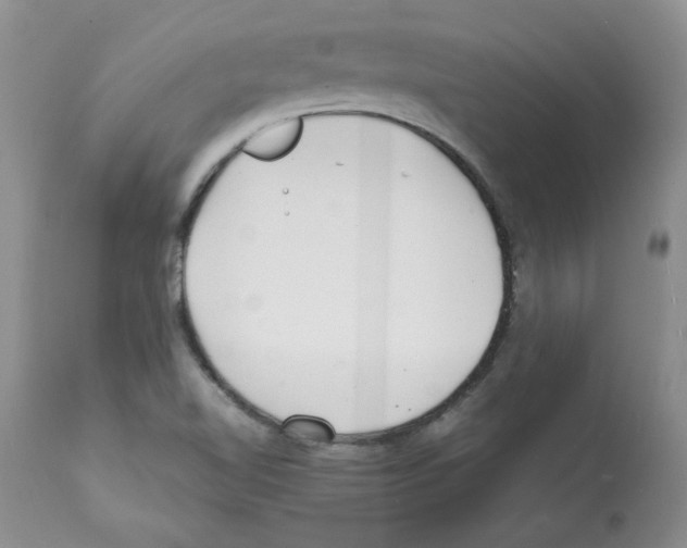 X0000112151510200909181410