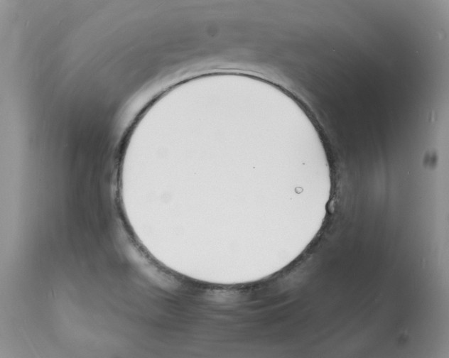 X0000112151511200909181410