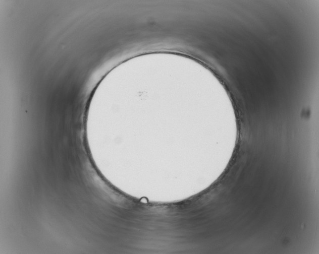 X0000112151512200909181410