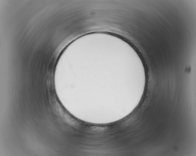 X0000112151513200909181410