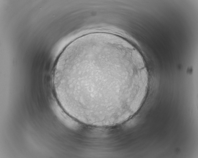 X0000112151514200909181410