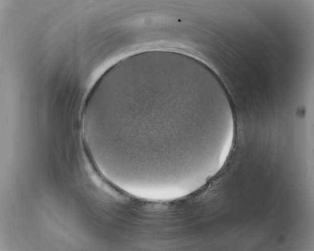 X0000112151515200909181410