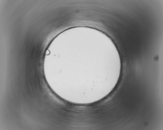 X0000112151517200909181410