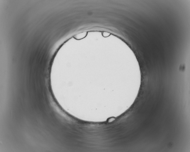 X0000112151518200909181410