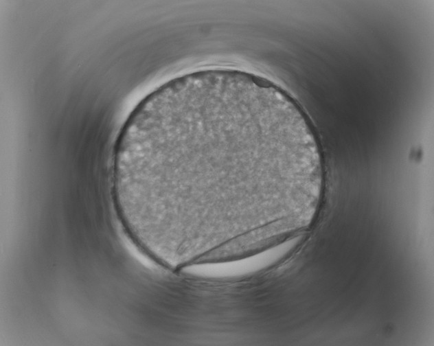 X0000112151519200909181410