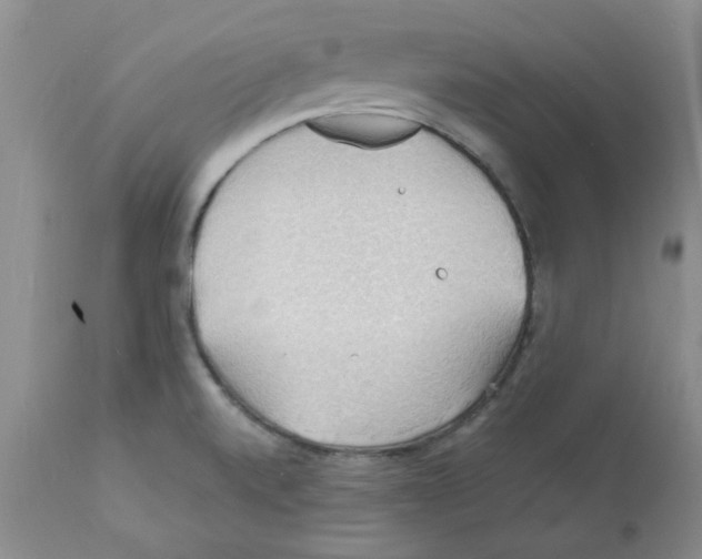 X0000112151520200909181410