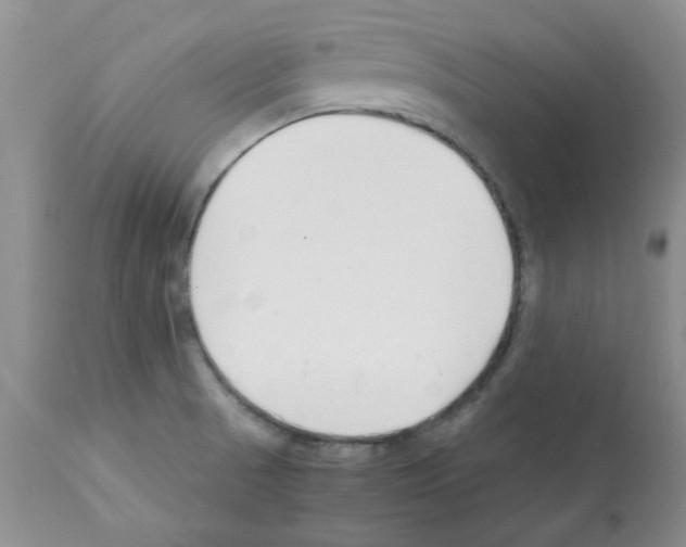 X0000112151521200909181410