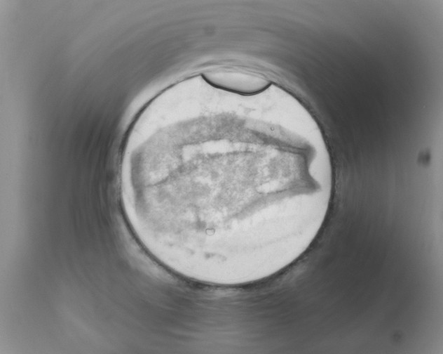 X0000112151522200909181410