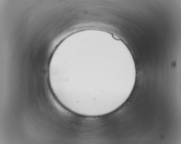 X0000112151523200909181410