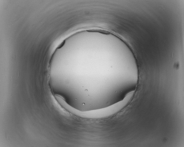 X0000112151524200909181410