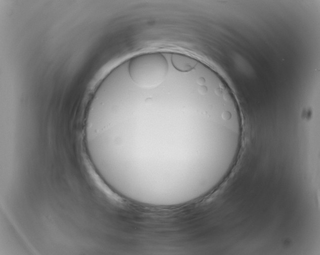 X0000112151525200909181410