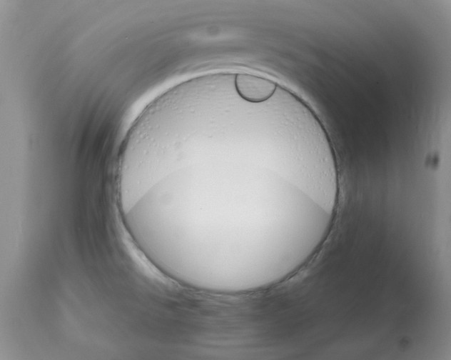 X0000112151526200909181410