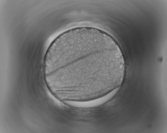 X0000112151527200909181410